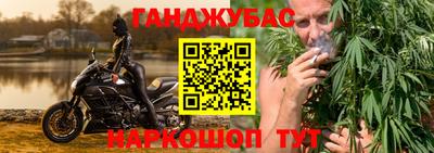 сатива Будённовск