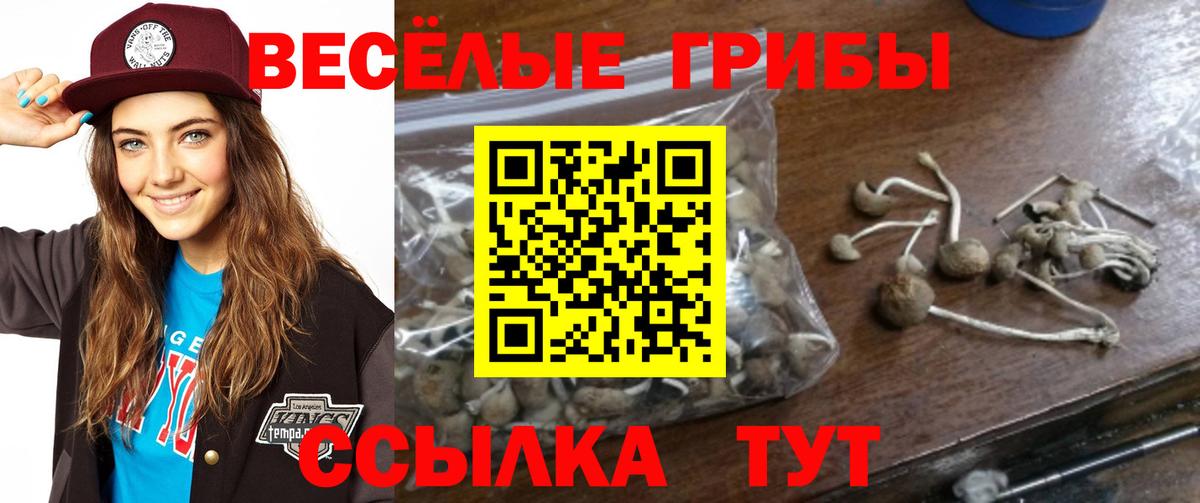 Галлюциногенные грибы Magic Shrooms  Вход с VPN  Мурино 